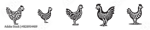 vector set of chicken bones skeleton silhouettes