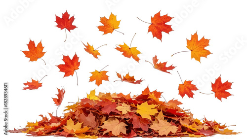 Pile Of Maple Leaves Illustration Representing Autumn Season Pile Of Colorful Foliage For Fall Nature Design Flying Leaves Isolated on A Transparent Background,