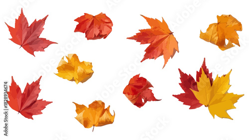 Colorful Autumnal Collection: Red Yellow Orange Maple Leaves Scatter Isolated on Transparent Backdrop, Seasonal Foliage for Fall Projects, Detailed Autumn Leaves Vector. 