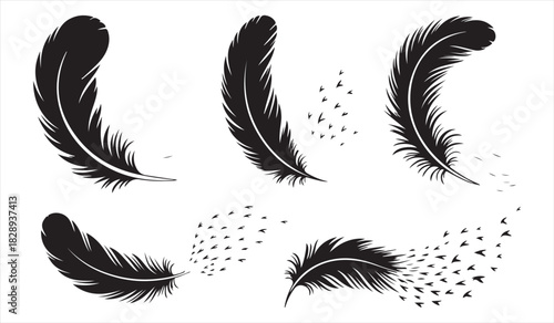 Delicate feather vector illustrations showing graceful movement and dissolving effects