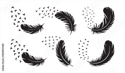 Black feather silhouette set featuring lightness, motion, and decorative particle dispersions