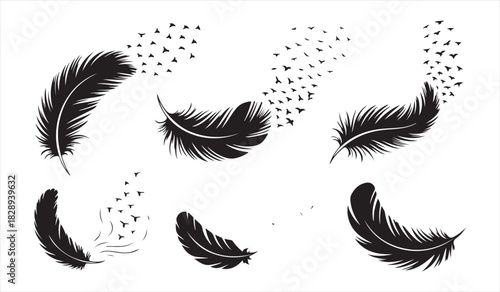 Elegant floating feather silhouette collection with dissolving particle effects in black vector style