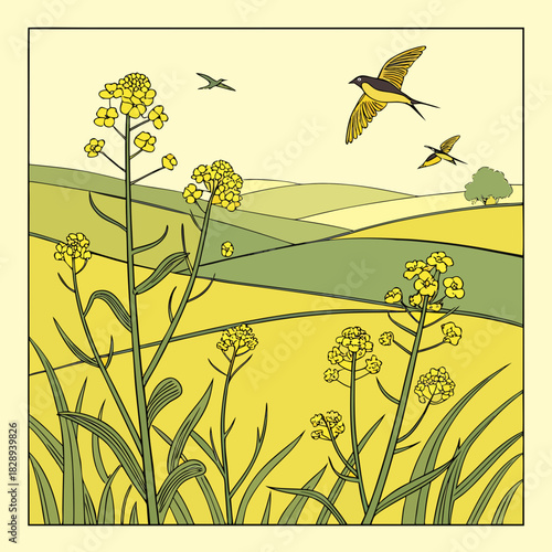 Stylized illustration of yellow rapeseed flowers in bloom with swallows flying over rolling green hills