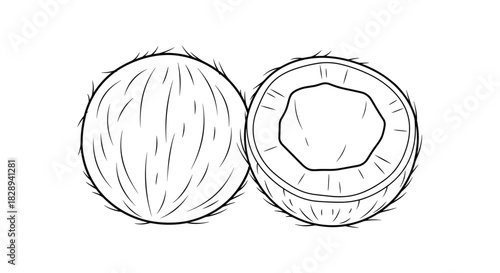 Simple black and white line art illustration depicting two coconuts, one whole and one cut in half, revealing its inner structure.