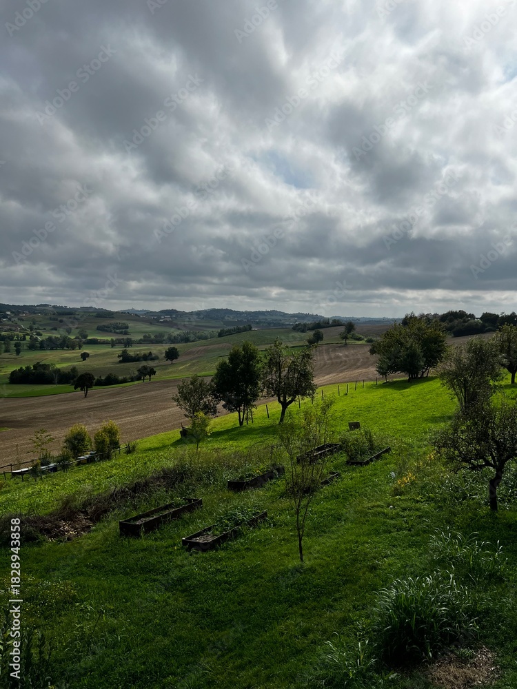 Naklejka premium Dramatic Cloudy Sky over Green Rolling Hills and Terraced Farmland in the Italian or French Countryside with Scattered Trees and Distant Villages