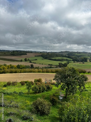Wallpaper Mural ast Landscape of Green and Brown Rolling Hills and Terraced Farmland Under a Wide, Overcast Sky with a Single Tree and White Garden Chairs in the Foreground. Piedmont, Italy Torontodigital.ca