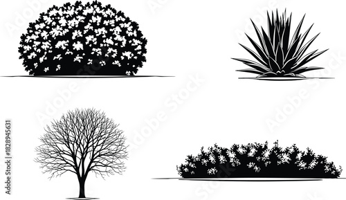 A captivating illustration showcasing a diverse array of meticulously detailed plants, isolated on, each rendered with striking precision and artistry