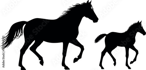 Black silhouettes of a horse and a young foal trotting, symbolizing motherhood, equestrian sport, farm life, freedom, and animal breeding vector.