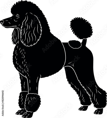 Elegant black standard poodle dog silhouette vector, showing classic continental clip and posture, ideal for pet grooming, breeding, and sophisticated animal logo.