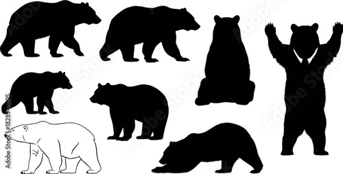 Set of diverse bear silhouettes, including standing, walking, sitting, and polar bear outlines, for wildlife, nature, and animal logo design elements.