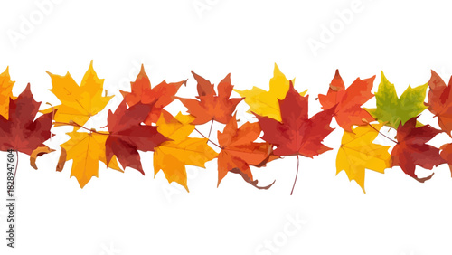 Colorful Autumn Maple Leaf Border: Vibrant Fall Foliage Row on Transparent Backdrop for Seasonal Designs and Thanksgiving Decorations.