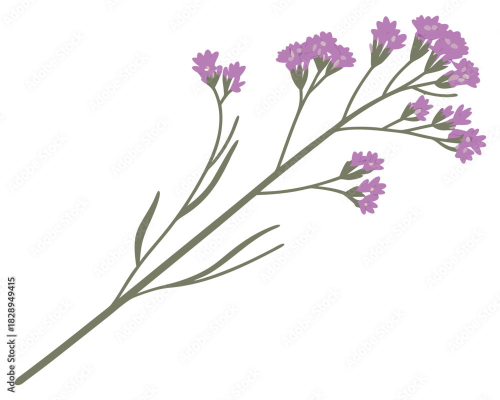 Fototapeta premium purple lavender wildflower stem branch illustration delicate botanical floral spring meadow plant artwork