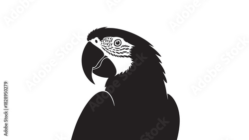 Black silhouette of a macaw parrot head detailed vector illustration isolated on white background for wildlife and nature designs