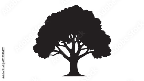 Silhouette of a deciduous tree vector illustration of a tree with branches and leaves isolated on white background