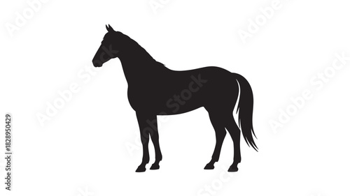 Elegant horse silhouette standing gracefully vector illustration isolated on white background