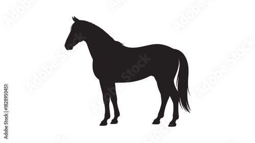 Elegant horse silhouette standing gracefully vector illustration isolated on white background