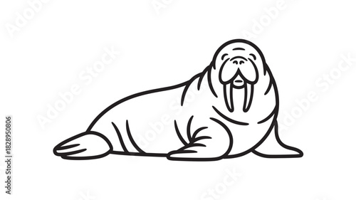 Minimalist walrus line art illustration simple vector drawing of arctic animal isolated on white background