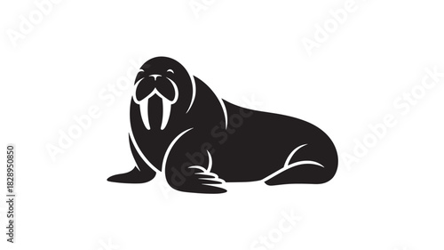 Walrus vector illustration minimalist flat design isolated on white background