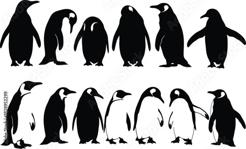 Monochrome penguin group illustration a collection of black and white penguin silhouettes in various poses on a white background