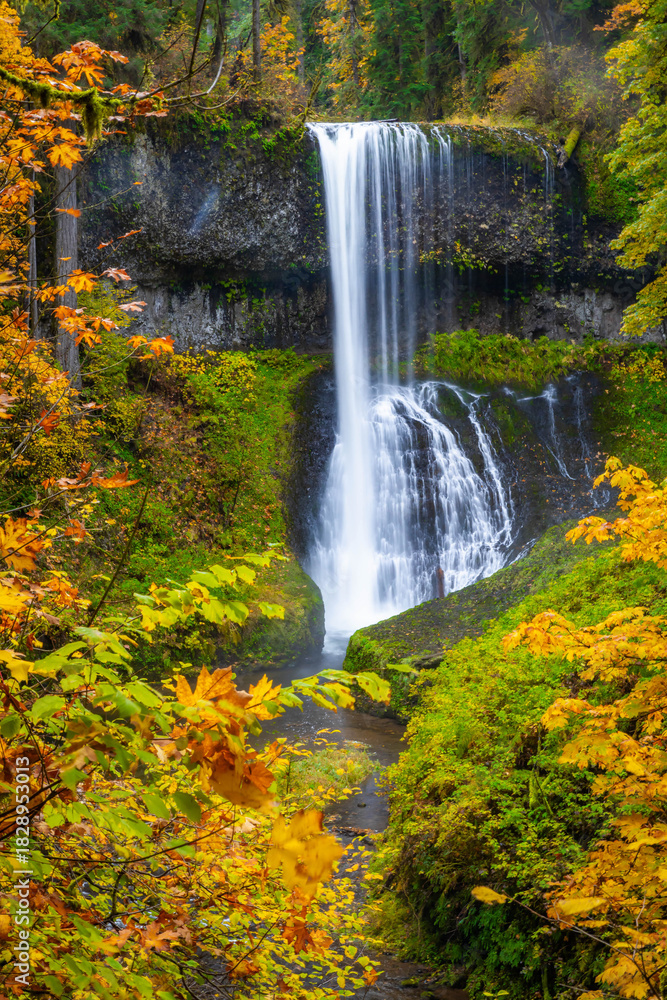 Obraz premium Beautiful Middle North Falls and Grotto in Fall at Silver Falls State Park