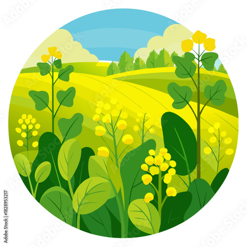 Vibrant rapeseed field illustration with sunny sky and green foliage, perfect for springtime designs and cheerful agricultural themes originally from scalable vector graphics