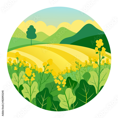 Stunning yellow rapeseed fields under a bright sunny sky, perfect for conveying peace and nature's beauty, originally a scalable vector graphic, ideal for travel and agricultural themes