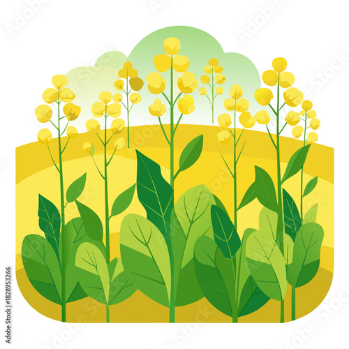 Vibrant canola field illustration, a bright and cheerful spring scene with blossoming yellow flowers, perfect for adding a touch of nature's beauty to any project. Enjoy this cheerful vector art