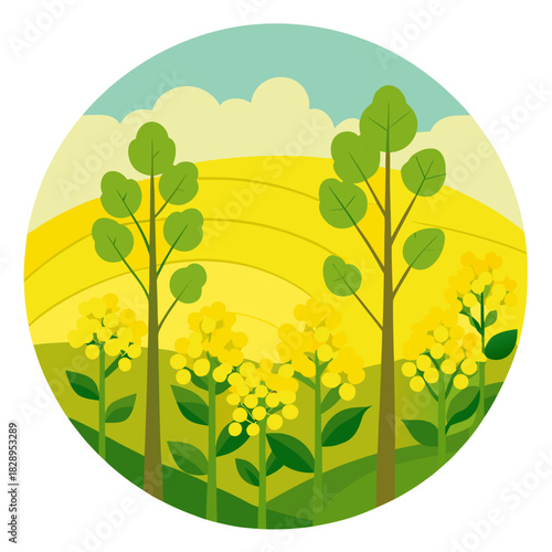 Vibrant rapeseed field under a clear sky, evoking feelings of peace and serenity, ideal for springtime promotions, environmental awareness campaigns, and nature-themed designs