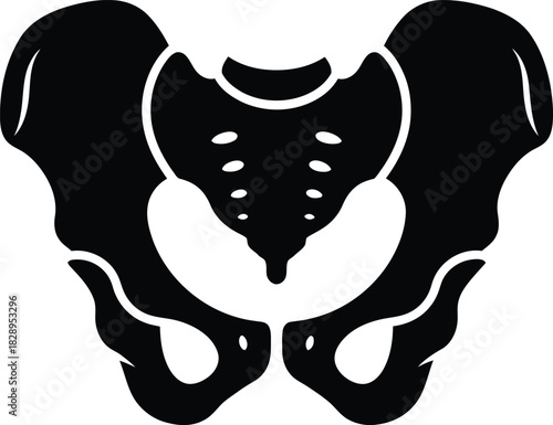 Black and white pelvic bone illustration anatomical representation of the human pelvis for medical educational and scientific purposes in a simple design