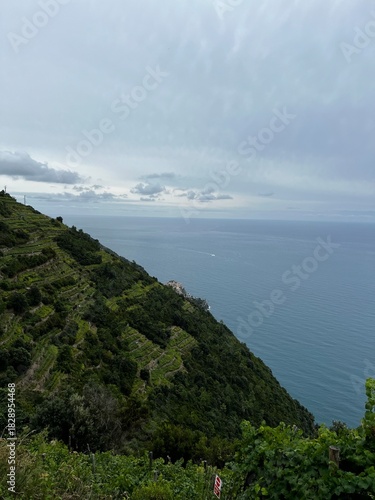 High-Angle View of Steep, Terraced Vineyards and Green Vegetation Sloping Down to the Blue Ligurian Sea Coastline in Cinque Terre, Italy, under a Cloudy Sky