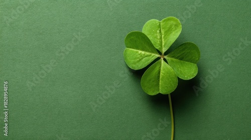 A vibrant four leaf clover rests on a rich green surface highlighting its unique shape and lush color. This natural symbol of luck evokes feelings of hope and positivity.