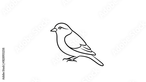 Simple black and white line drawing of a small bird, depicting its profile and details.