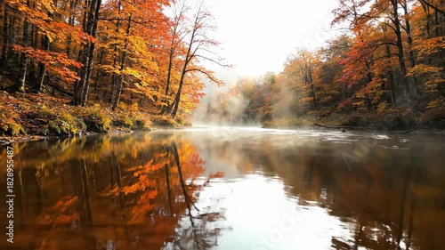 Autumn River Serenity - A Tranquil Reflection of Fall Colors.