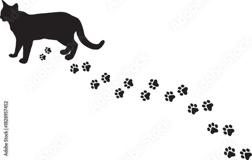 Paw Prints Background. Cute pets and Dogs pets paw print isolated on white background.