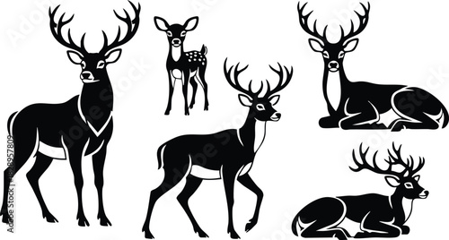Monochrome vector art set of standing and resting deer silhouettes with antlers and fawn figure in varied poses on clean white background
