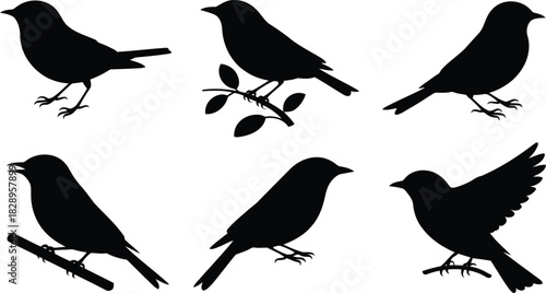 A group of six striking black bird silhouettes displaying various postures including standing and perching on a leafy branch