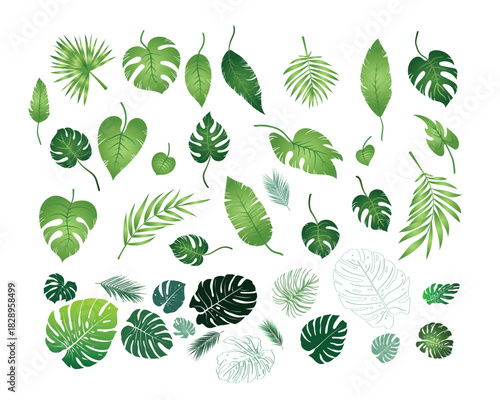 Wallpaper Mural Diverse Tropical Plant Leaves Collection Torontodigital.ca