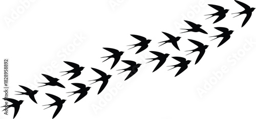 A large flock of black swallows flies together in an upward diagonal formation on a clean white background