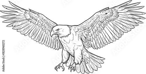 Majestic eagle with fully spread wings in detailed hand-drawn line art style, showcasing powerful feathers and dynamic motion, perfect for wildlife illustration and design projects