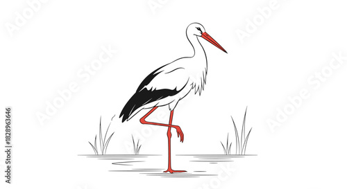 An elegant black and white line art drawing of a stork standing on one leg in the water among some reeds.