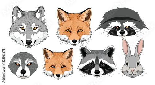 A beautiful collection of realistic vector portraits of various forest animals including a wolf fox raccoon and a rabbit.