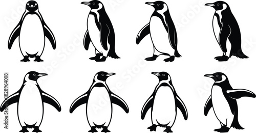 A vibrant collection of eight stylized black and white penguin illustrations with varying postures and expressions
