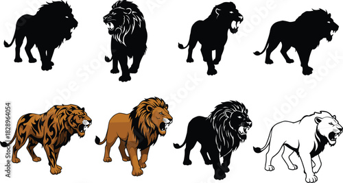 Roaring lion icon set, black silhouettes and detailed color illustrations in fierce poses, animal, wildlife, predator, nature, vector design, grid