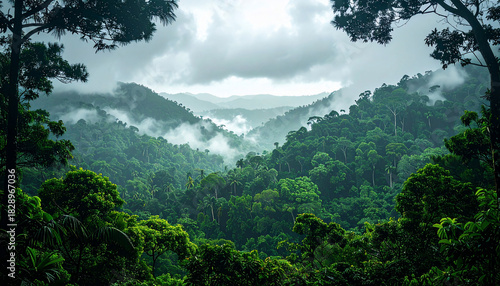 Wallpaper Mural Lush Green Rainforest Landscape Torontodigital.ca
