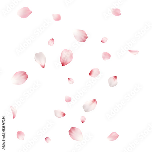 Scattered pink petals floating against a dark background for a dreamy effect