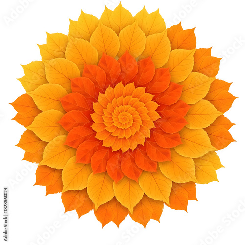 Vibrant orange and yellow floral design on black background