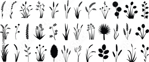 Botanical Plants Silhouette Vector Set, Diverse Collection of Grasses, Grains, and Leaves for Nature and Agriculture