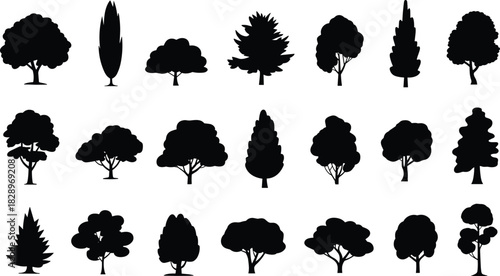 Set of 21 Diverse Tree Silhouettes Vector, Conifer, Deciduous, and Cypress Plants for Architectural Landscape and Park Design Graphics