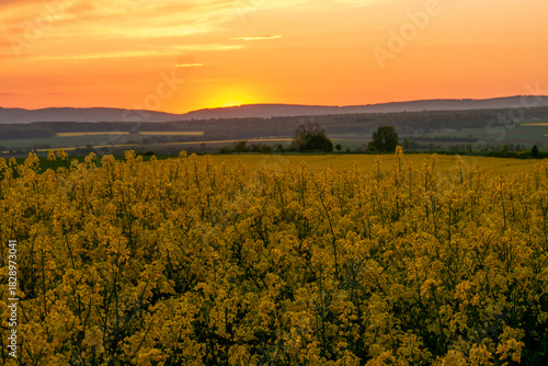 Sonnuntergang im April