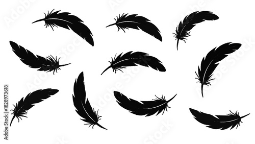 Vector illustration of collection of black bird feathers floating and falling isolated on transparent background